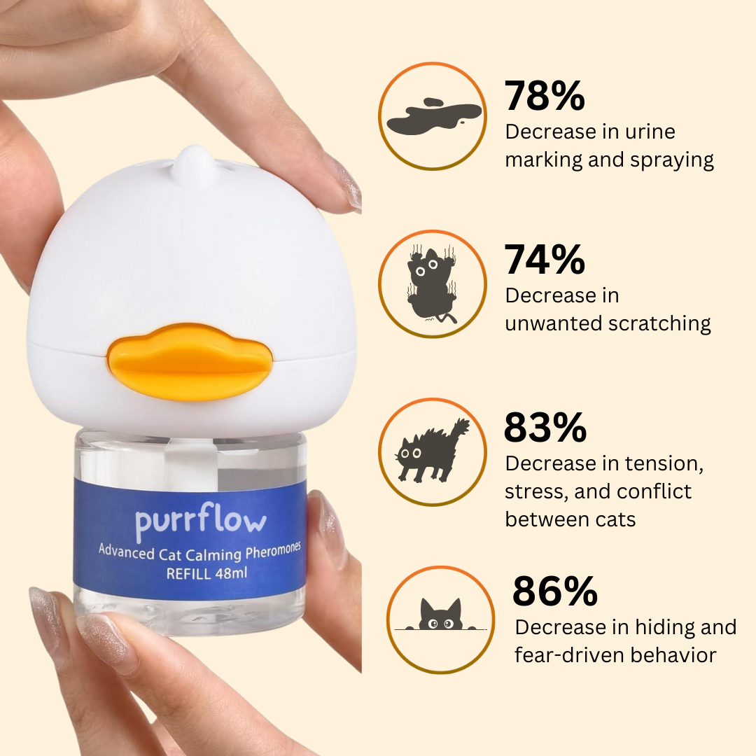 Cats Calming Diffuser Kit