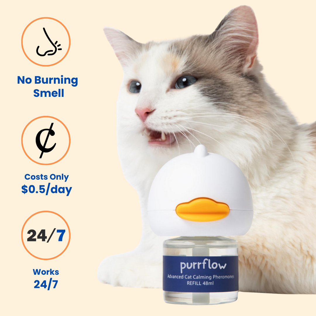 Cats Calming Diffuser Kit